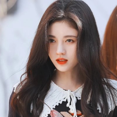 新：向阳花木易为春